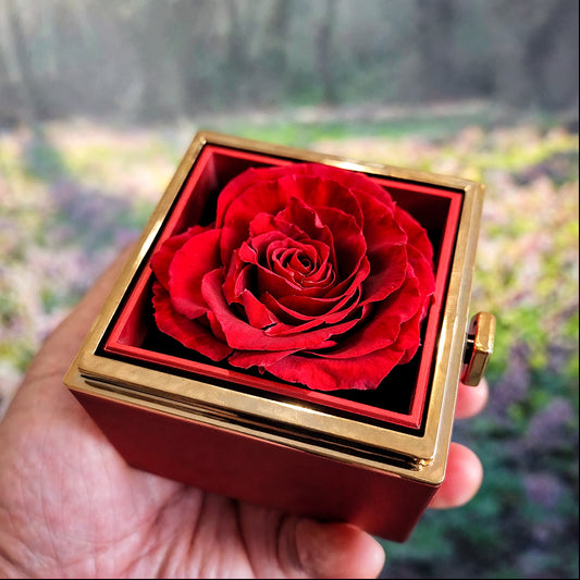 Rotating Rose Gift Box with Love Knot Necklace