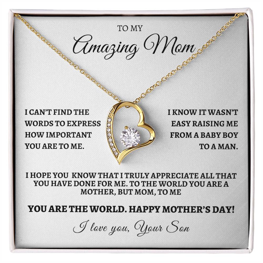 Happy  Mother's Day from Your from Son - You Are The World To Me