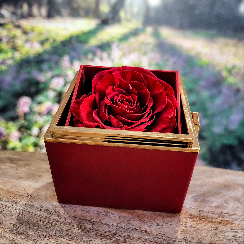 Love Knot with Luxurious Box and Preserved  Rose